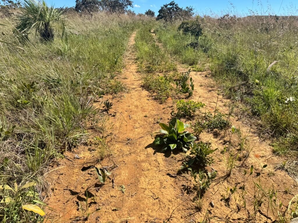 Fazenda 695ha – Nascente – Cachoeira – aprox. 23 km de Alto Paraíso de Goiás, 100% Documentada