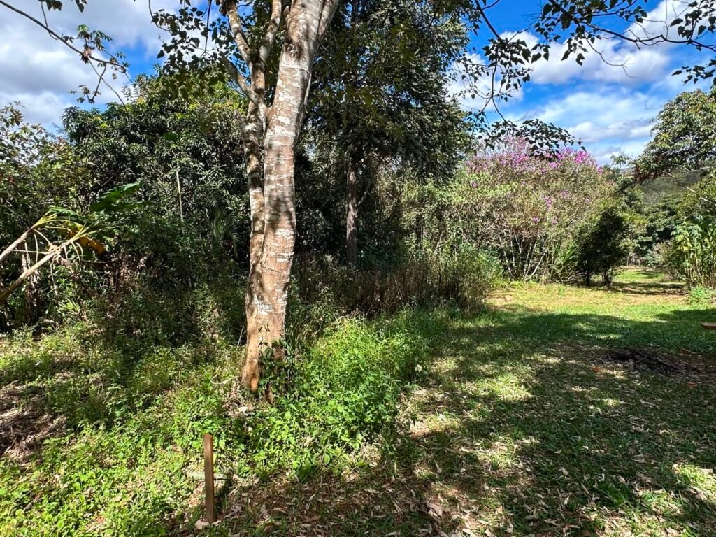 Lote 830m2 – Rio – Moinho – Alto Paraíso de Goiás