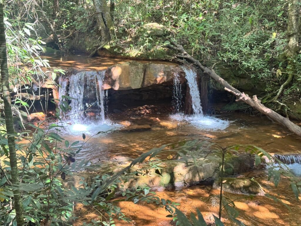 Fazenda 695ha – Nascente – Cachoeira – aprox. 23 km de Alto Paraíso de Goiás, 100% Documentada