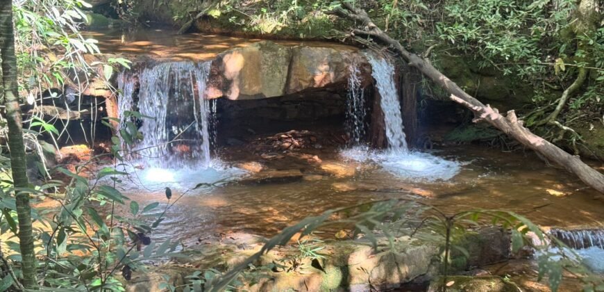 Fazenda 695m – Nascente – Cachoeira – aprox. 23 km de Alto Paraíso de Goiás, 100% Documentada