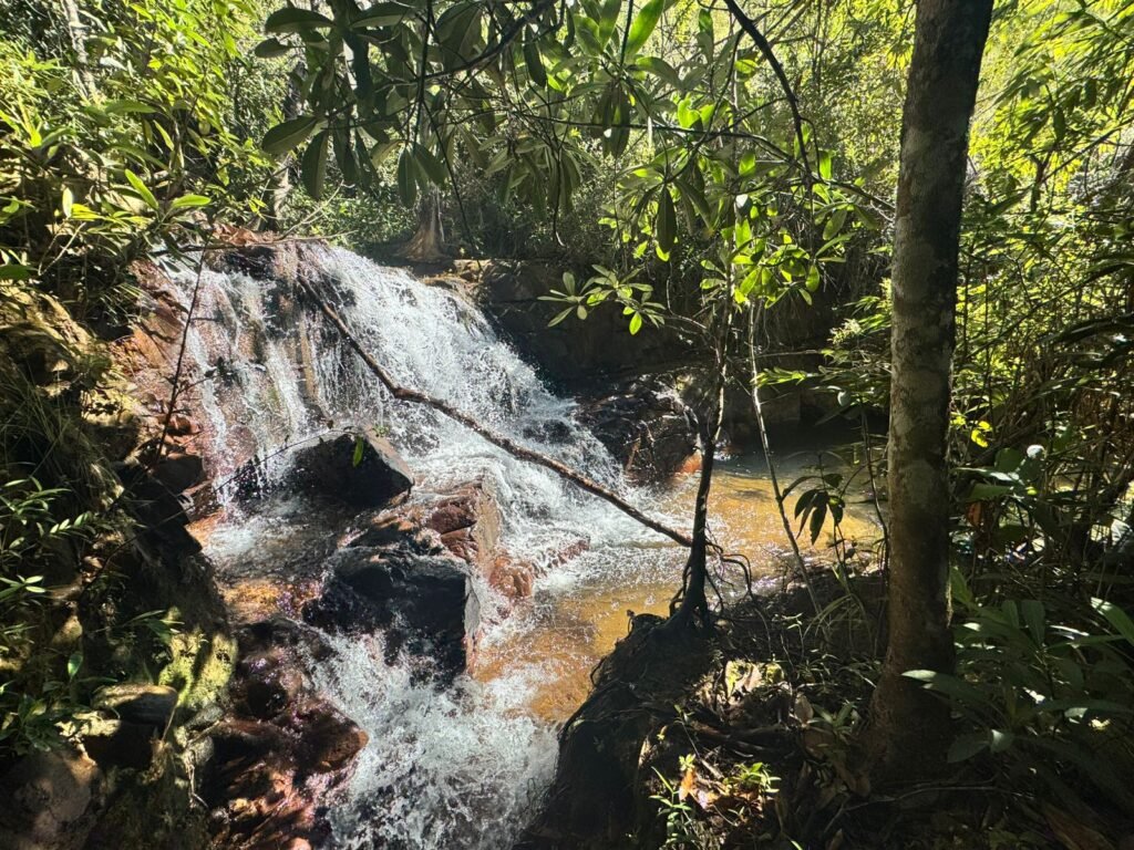 Fazenda 695ha – Nascente – Cachoeira – aprox. 23 km de Alto Paraíso de Goiás, 100% Documentada