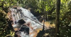 Fazenda 695m – Nascente – Cachoeira – aprox. 23 km de Alto Paraíso de Goiás, 100% Documentada Fazenda 695m – Nascente – Cachoeira – aprox. 23 km de Alto Paraíso de Goiás, 100% Documentada