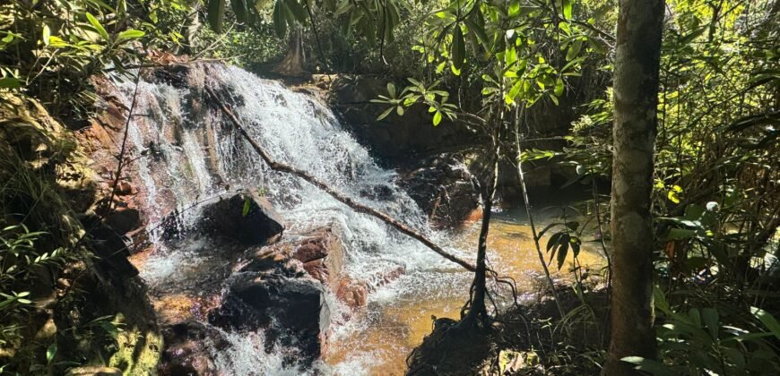 Fazenda 695m – Nascente – Cachoeira – aprox. 23 km de Alto Paraíso de Goiás, 100% Documentada