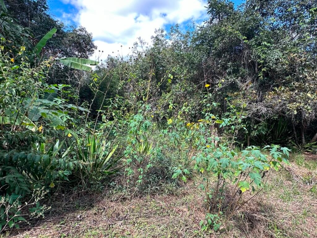 Lote 830m2 – Rio – Moinho – Alto Paraíso de Goiás