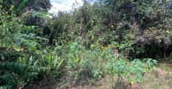 Lote 830m2 – Rio – Moinho – Alto Paraíso de Goiás