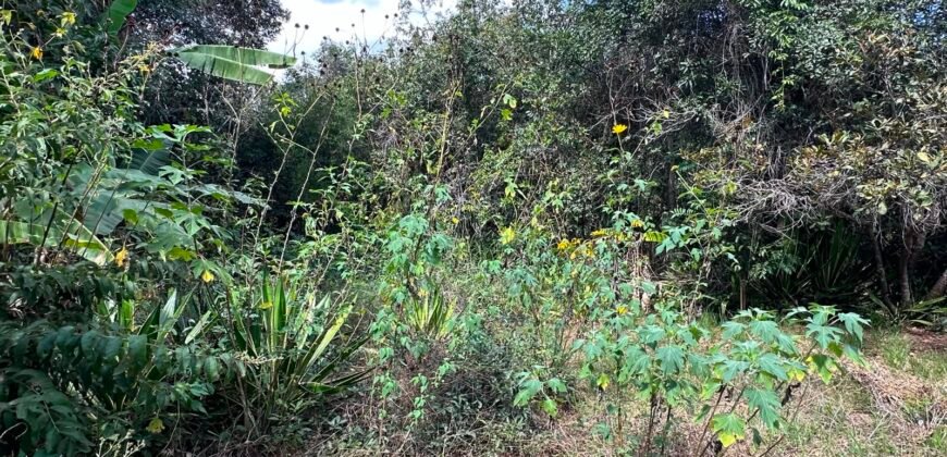 Lote 830m2 – Rio – Moinho – Alto Paraíso de Goiás