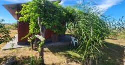 🌿 Vende-se Linda Chácara Casa + 3 chalés, pronta pra morar, em Alto Paraíso de Goiás! 🏡