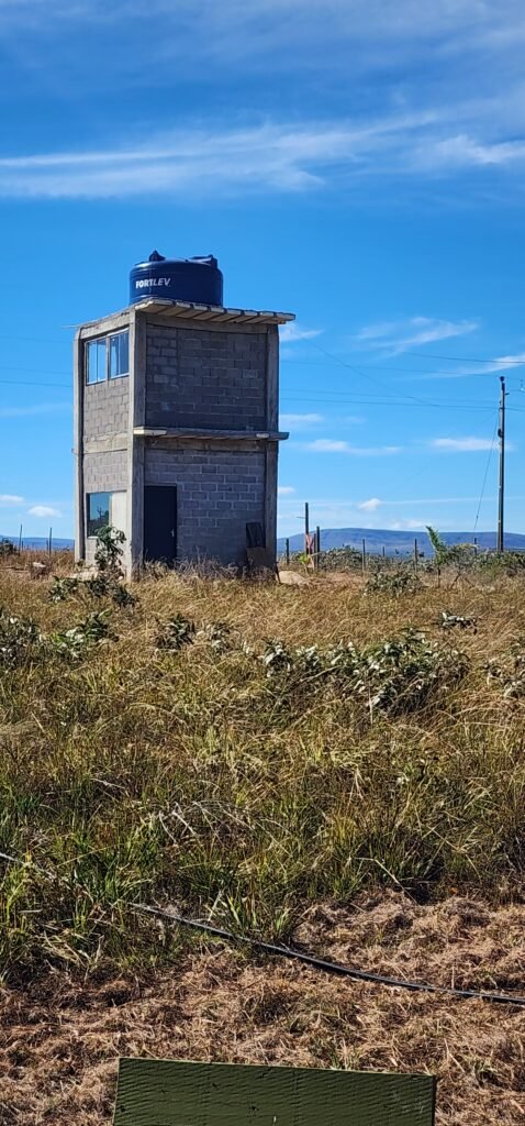 🌿 Vende-se Linda Chácara Casa + 3 chalés, pronta pra morar, em Alto Paraíso de Goiás! 🏡