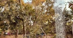ALUGA-SE LINDO SOBRADO MOBILIADO EM ALTO PARAÍSO DE GOIÁS ALUGA-SE LINDO SOBRADO MOBILIADO EM ALTO PARAÍSO DE GOIÁS