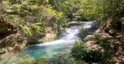 Oportunidade Única – 1.510 hectares (RPPN III com 1.425 ha + RPPN II com 85 ha). Chapada dos veadeiros Oportunidade Única – 1.510 hectares (RPPN III com 1.425 ha + RPPN II com 85 ha). Chapada dos veadeiros