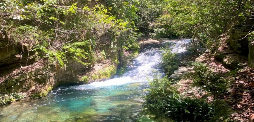 Oportunidade Única – 1.510 hectares (RPPN III com 1.425 ha + RPPN II com 85 ha). Chapada dos veadeiros