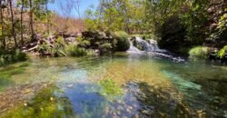 Oportunidade Única – 1.510 hectares (RPPN III com 1.425 ha + RPPN II com 85 ha). Chapada dos veadeiros Oportunidade Única – 1.510 hectares (RPPN III com 1.425 ha + RPPN II com 85 ha). Chapada dos veadeiros