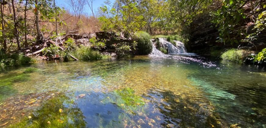 Oportunidade Única – 1.510 hectares (RPPN III com 1.425 ha + RPPN II com 85 ha). Chapada dos veadeiros