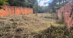 Oportunidade! Lote em um dos lugares mais lindo de Alto Paraíso de Goiás, Centro! Oportunidade! Lote em um dos lugares mais lindo de Alto Paraíso de Goiás, Centro!