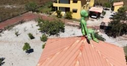 🏡 VENDE-SE LINDA CHÁCARA COM POUSADA EM PLENO FUNCIONAMENTO EM ALTO PARAÍSO DE GOIÁS! 🌿