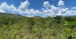 Oportunidade Única – 1.510 hectares (RPPN III com 1.425 ha + RPPN II com 85 ha). Chapada dos veadeiros Oportunidade Única – 1.510 hectares (RPPN III com 1.425 ha + RPPN II com 85 ha). Chapada dos veadeiros