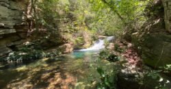 Oportunidade Única – 1.510 hectares (RPPN III com 1.425 ha + RPPN II com 85 ha). Chapada dos veadeiros Oportunidade Única – 1.510 hectares (RPPN III com 1.425 ha + RPPN II com 85 ha). Chapada dos veadeiros