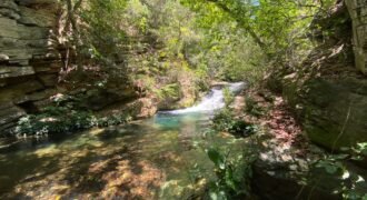 Oportunidade Única – 1.510 hectares (RPPN III com 1.425 ha + RPPN II com 85 ha). Chapada dos veadeiros Oportunidade Única – 1.510 hectares (RPPN III com 1.425 ha + RPPN II com 85 ha). Chapada dos veadeiros
