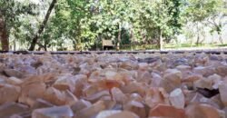 ALUGA-SE LINDO SOBRADO MOBILIADO EM ALTO PARAÍSO DE GOIÁS ALUGA-SE LINDO SOBRADO MOBILIADO EM ALTO PARAÍSO DE GOIÁS