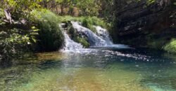Oportunidade Única – 1.510 hectares (RPPN III com 1.425 ha + RPPN II com 85 ha). Chapada dos veadeiros Oportunidade Única – 1.510 hectares (RPPN III com 1.425 ha + RPPN II com 85 ha). Chapada dos veadeiros
