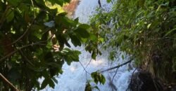 Oportunidade Única – 1.510 hectares (RPPN III com 1.425 ha + RPPN II com 85 ha). Chapada dos veadeiros Oportunidade Única – 1.510 hectares (RPPN III com 1.425 ha + RPPN II com 85 ha). Chapada dos veadeiros