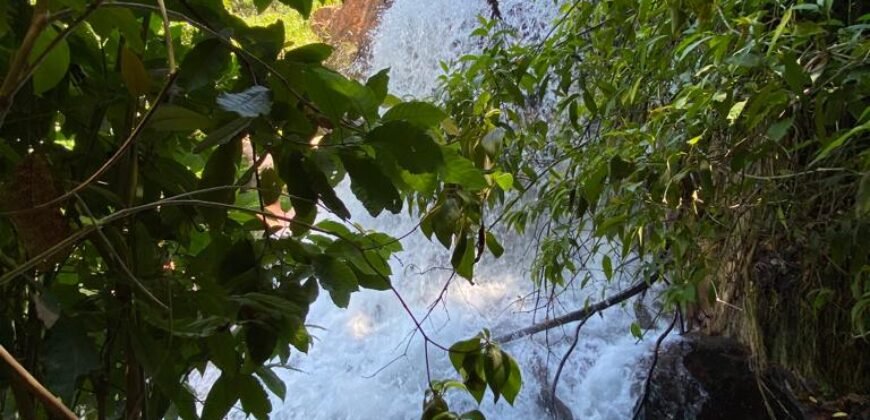 Oportunidade Única – 1.510 hectares (RPPN III com 1.425 ha + RPPN II com 85 ha). Chapada dos veadeiros