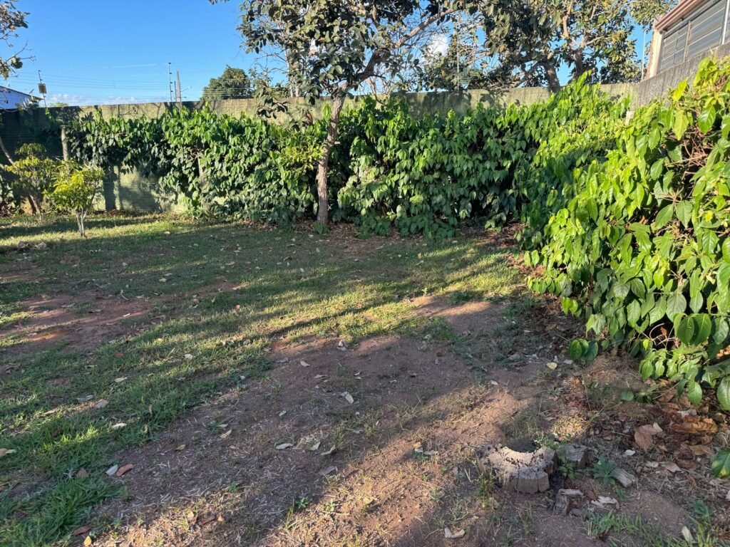 🏡 CASA SEMI MOBILIADA PARA LOCAÇÃO – MONTE SINAI | ALTO PARAÍSO DE GOIÁS