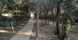 🏡 CHALÉ PARA ALUGAR – BAIRRO ELDORADO | ALTO PARAÍSO DE GOIÁS 🌿 🏡 CHALÉ PARA ALUGAR – BAIRRO ELDORADO | ALTO PARAÍSO DE GOIÁS 🌿
