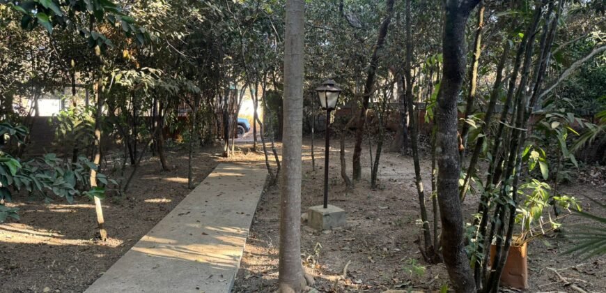 🏡 CHALÉ PARA ALUGAR – BAIRRO ELDORADO | ALTO PARAÍSO DE GOIÁS 🌿