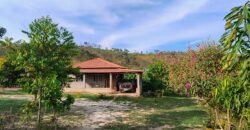 Casa – Terreno 5.000m2 – km 14, entre Alto Paraíso e São Jorge Casa – Terreno 5.000m2 – km 14, entre Alto Paraíso e São Jorge