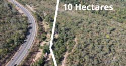 OPORTUNIDADE ÚNICA – Terreno de 10ha na ENTRADA DE SÃO JORGE – CHAPADA DOS VEADEIROS OPORTUNIDADE ÚNICA – Terreno de 10ha na ENTRADA DE SÃO JORGE – CHAPADA DOS VEADEIROS