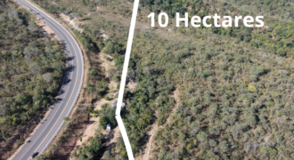 OPORTUNIDADE ÚNICA – Terreno de 10ha na ENTRADA DE SÃO JORGE – CHAPADA DOS VEADEIROS OPORTUNIDADE ÚNICA – Terreno de 10ha na ENTRADA DE SÃO JORGE – CHAPADA DOS VEADEIROS