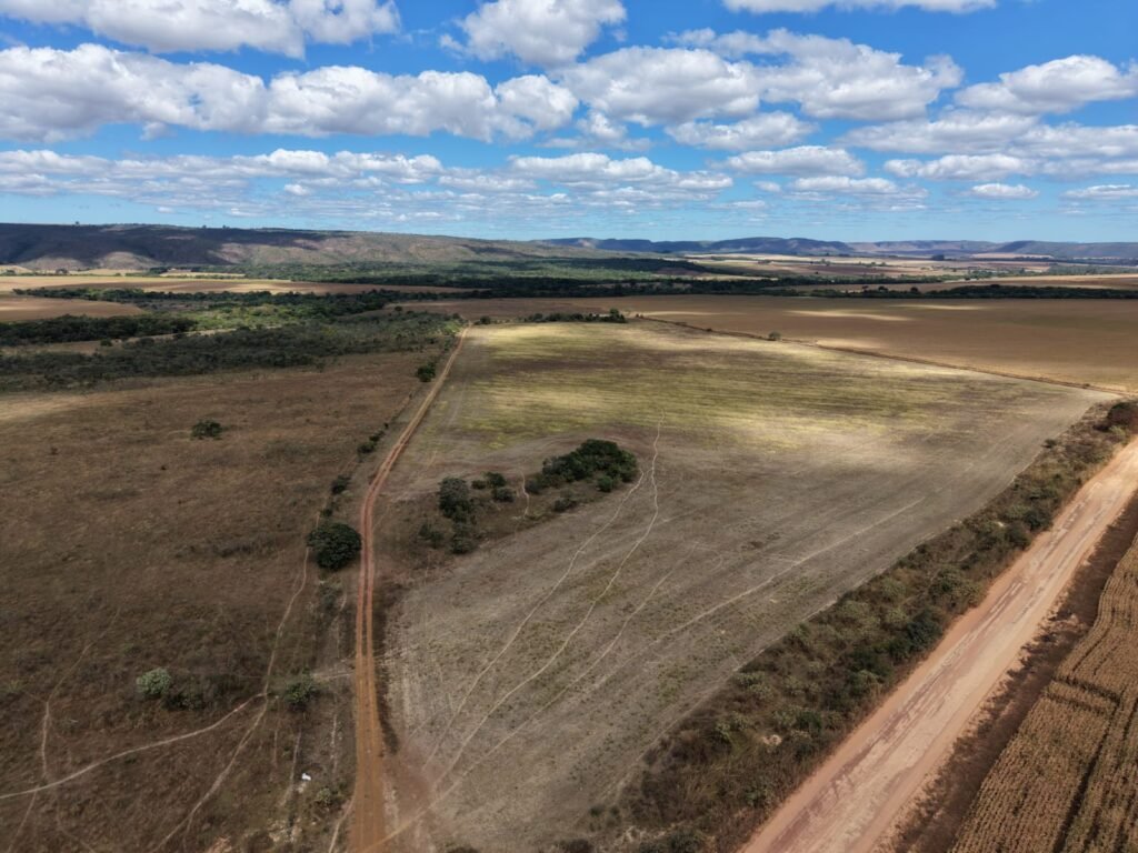🌿 Fazenda à Venda | Água em Abundância e Excelente Potencial Produtivo na Chapada dos Veadeiros