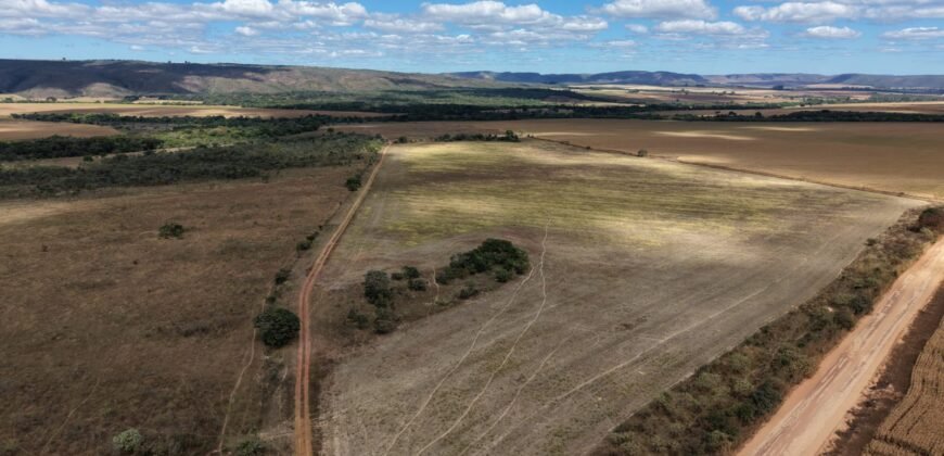 🌿 Fazenda à Venda | Água em Abundância e Excelente Potencial Produtivo na Chapada dos Veadeiros