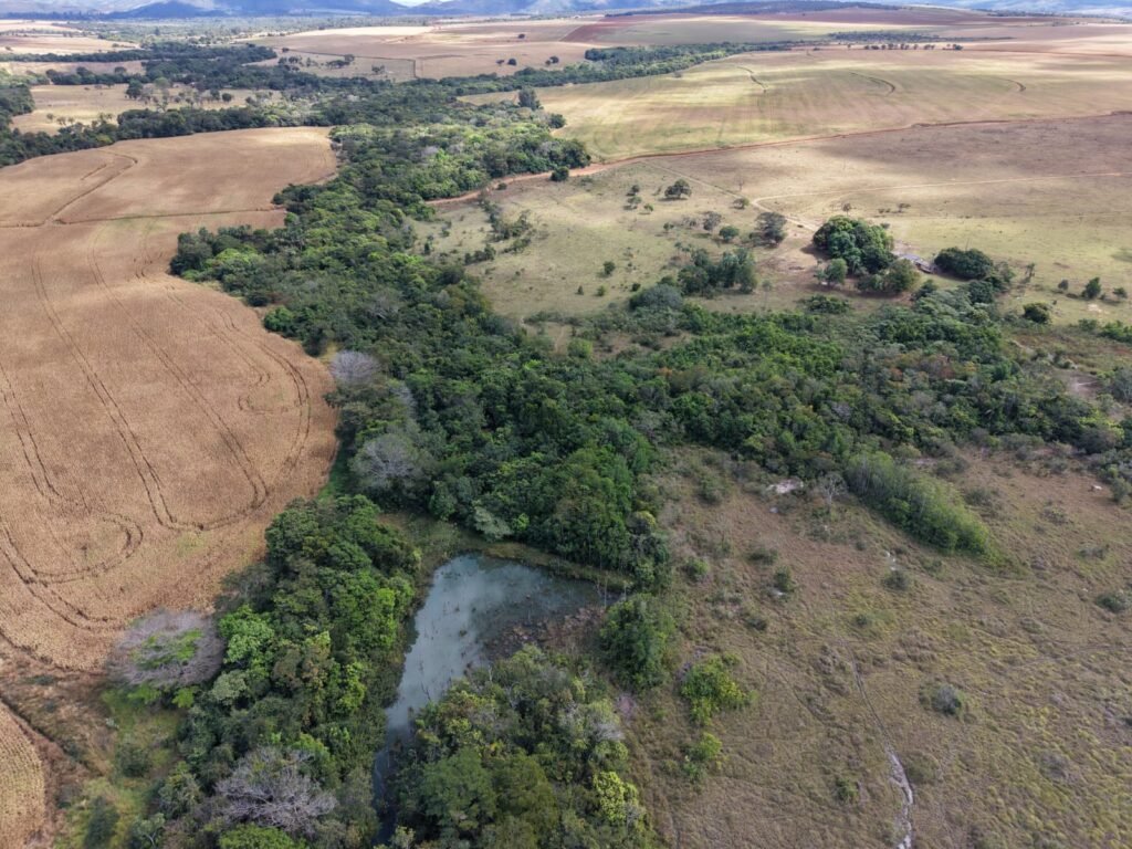 🌿 Fazenda à Venda | Água em Abundância e Excelente Potencial Produtivo na Chapada dos Veadeiros