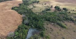 🌿 Fazenda à Venda | Água em Abundância e Excelente Potencial Produtivo na Chapada dos Veadeiros