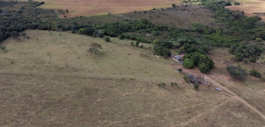 🌿 Fazenda à Venda | Água em Abundância e Excelente Potencial Produtivo na Chapada dos Veadeiros