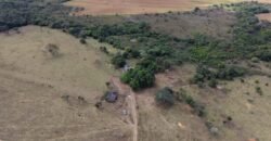 🌿 Fazenda à Venda | Água em Abundância e Excelente Potencial Produtivo na Chapada dos Veadeiros
