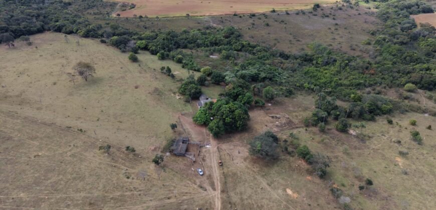 🌿 Fazenda à Venda | Água em Abundância e Excelente Potencial Produtivo na Chapada dos Veadeiros