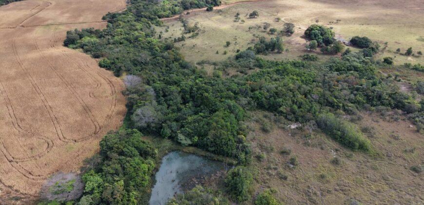 🌿 Fazenda à Venda | Água em Abundância e Excelente Potencial Produtivo na Chapada dos Veadeiros