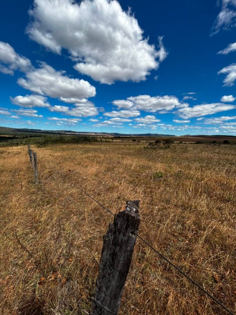 🌿 Fazenda à Venda | Água em Abundância e Excelente Potencial Produtivo na Chapada dos Veadeiros