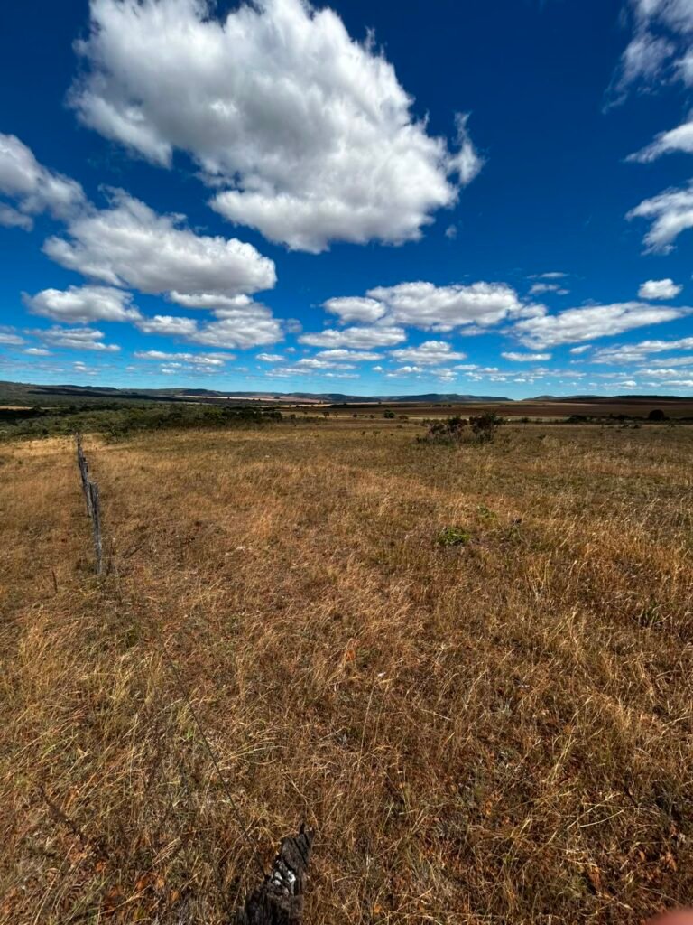 🌿 Fazenda à Venda | Água em Abundância e Excelente Potencial Produtivo na Chapada dos Veadeiros