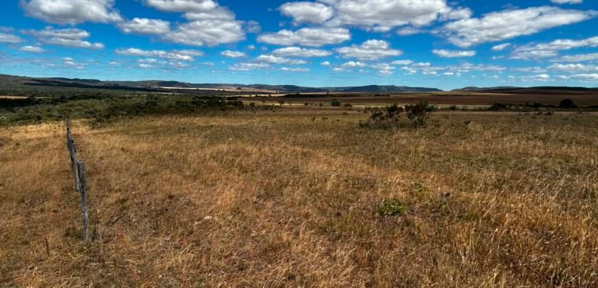 🌿 Fazenda à Venda | Água em Abundância e Excelente Potencial Produtivo na Chapada dos Veadeiros