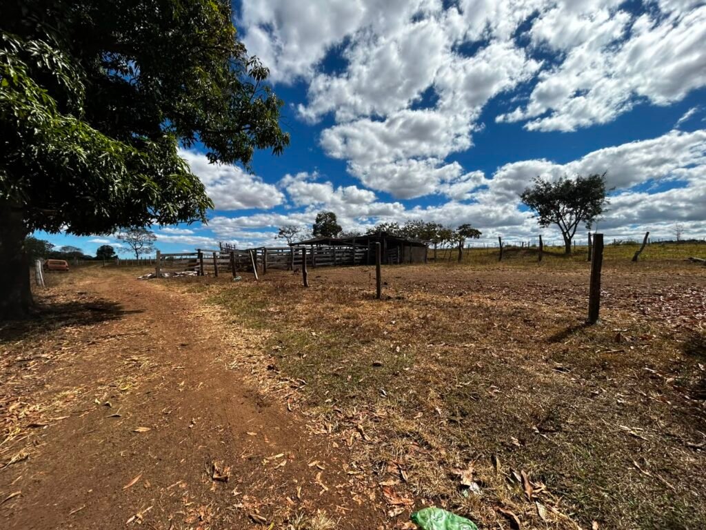 🌿 Fazenda à Venda | Água em Abundância e Excelente Potencial Produtivo na Chapada dos Veadeiros