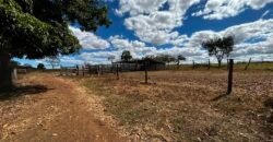 🌿 Fazenda à Venda | Água em Abundância e Excelente Potencial Produtivo na Chapada dos Veadeiros