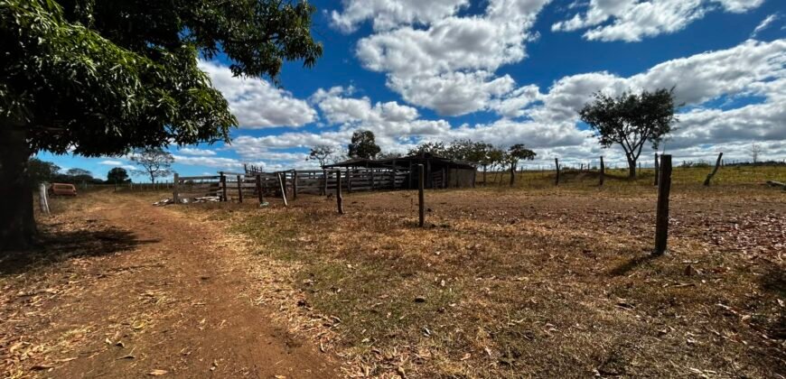 🌿 Fazenda à Venda | Água em Abundância e Excelente Potencial Produtivo na Chapada dos Veadeiros