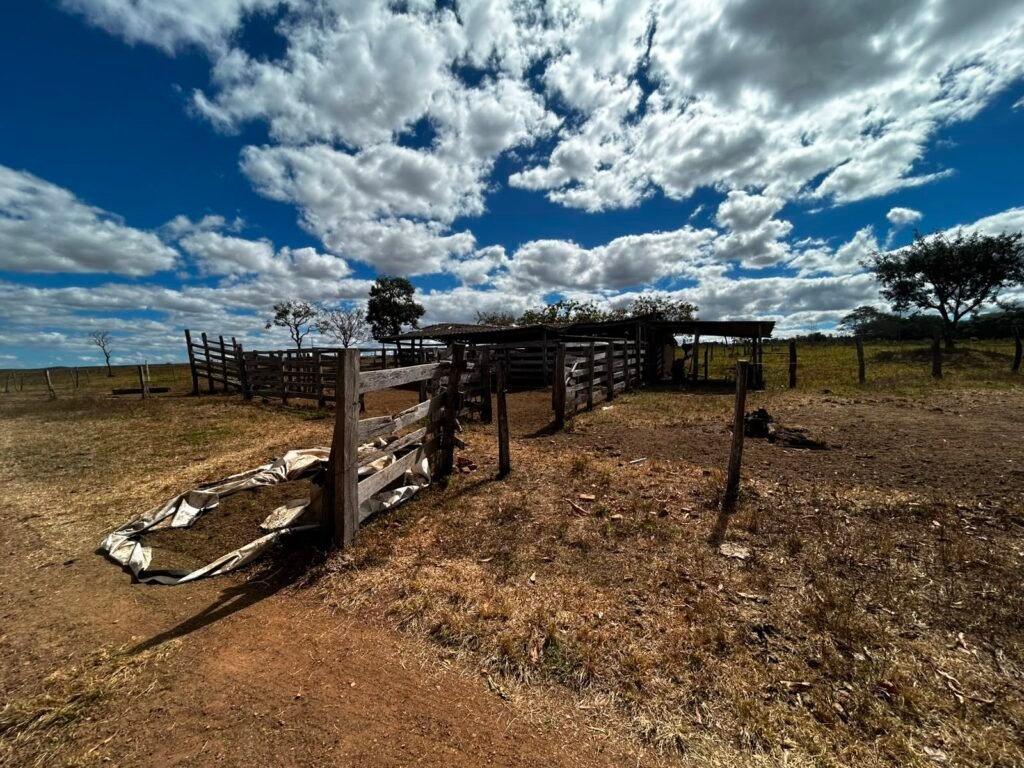 🌿 Fazenda à Venda | Água em Abundância e Excelente Potencial Produtivo na Chapada dos Veadeiros