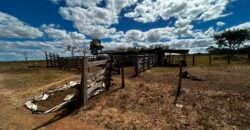 🌿 Fazenda à Venda | Água em Abundância e Excelente Potencial Produtivo na Chapada dos Veadeiros