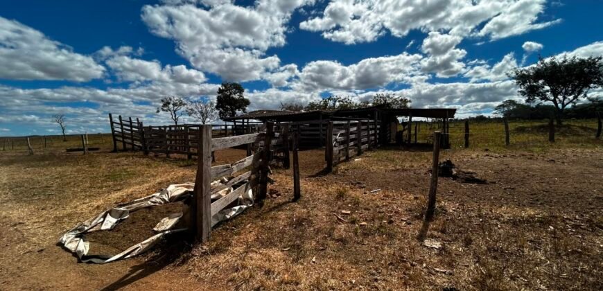 🌿 Fazenda à Venda | Água em Abundância e Excelente Potencial Produtivo na Chapada dos Veadeiros