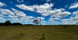 🌿 Fazenda à Venda | Água em Abundância e Excelente Potencial Produtivo na Chapada dos Veadeiros